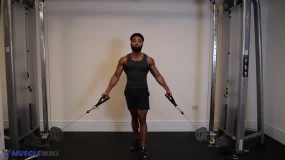 Cable Bilateral Cross Cable Curl