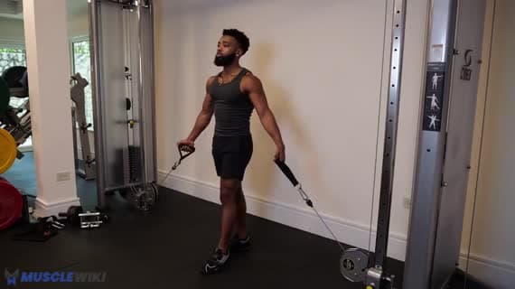 Cable Bilateral Cross Cable Curl