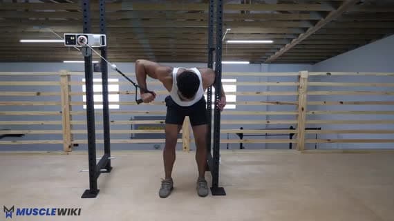 Cable Braced Single Arm Chest Press