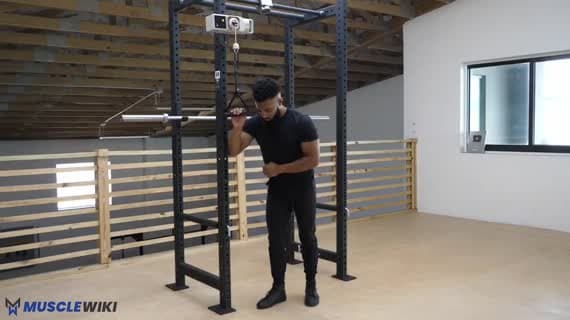 Cable Braced Wrist Curl