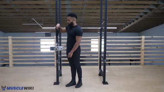 Cable Braced Wrist Extension