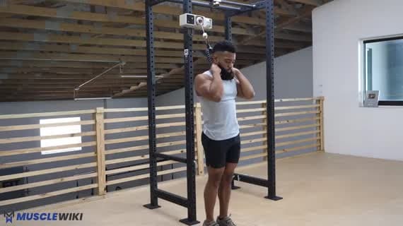 Cable Rope Standing Crunch
