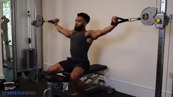 Cable Seated Bilateral High Curl