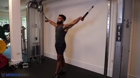 Cable Standing Bilateral Straight Arm Pull In