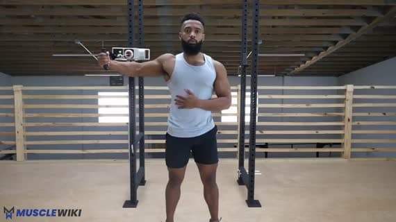 Cable Standing Single Arm Chest Fly