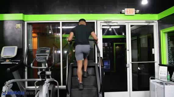 Stepper