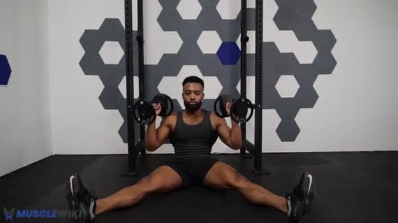 Dambıl Alternating Z Press