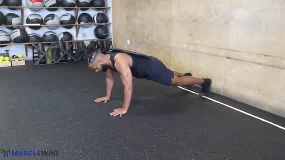 Ağırlıklı Plank Yukarı Aşağı