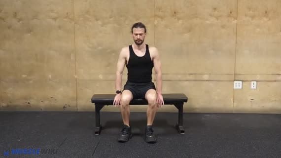Sabit Bench Kaldırma