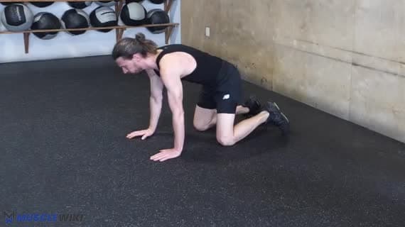 Plank per attivazione del dentato anteriore