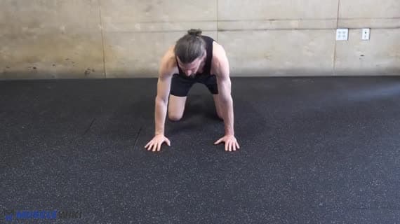 Plank per attivazione del dentato anteriore