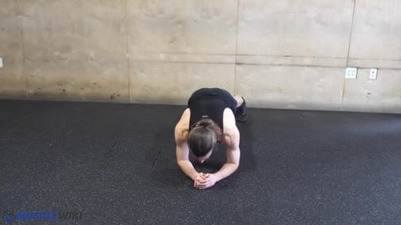 Serratus Aktivasyonu Aktif Plank