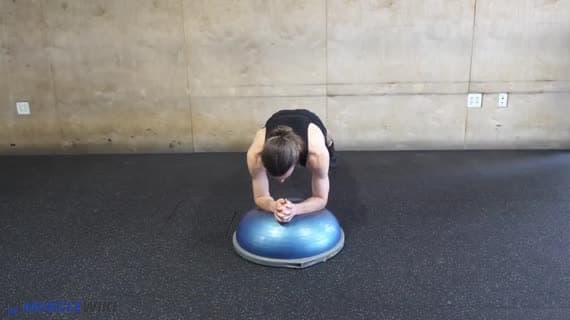 Bosu تنشيط العضلة المسننة الأمامية - بلانك نشط