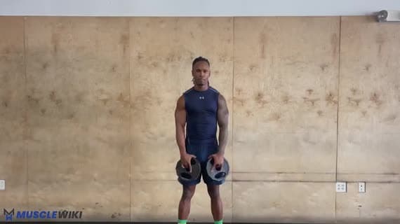 Plate Full Lateral Raise
