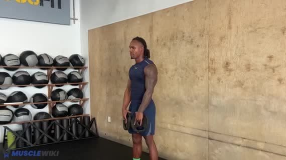 Plate Full Lateral Raise