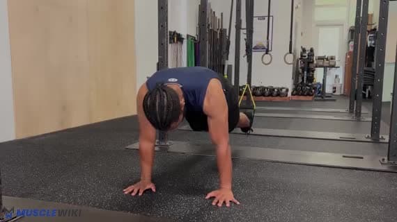 TRX Pike