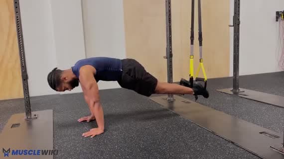 TRX Pike