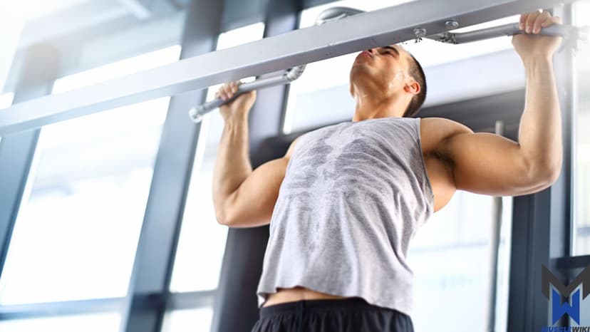Pull for Advanced Lifters workout