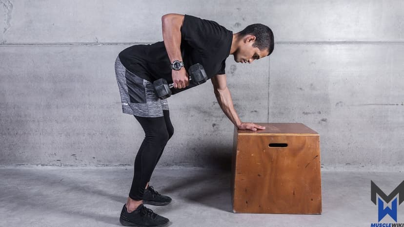 Pull for Novices workout