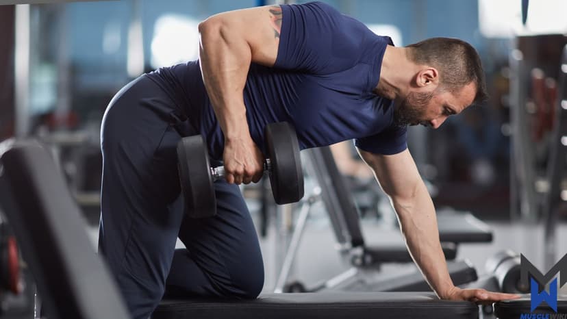 Upper Body Beginner Workout workout