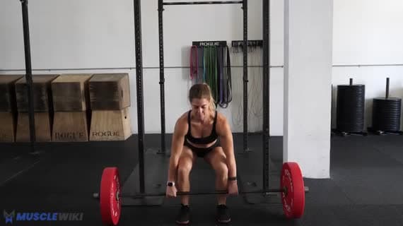 Barbell Deadlift