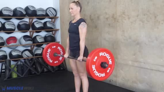 Barbell Reverse Curl