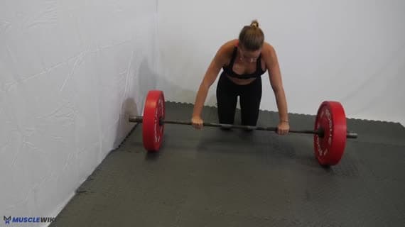 Barbell Roll Outs