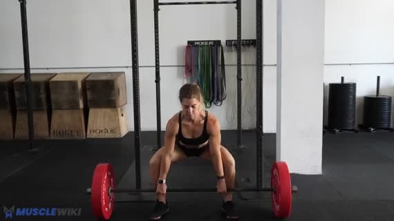 Barbell Sumo Deadlift