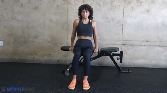 Bench Dips