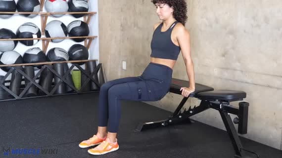 Bench Dips
