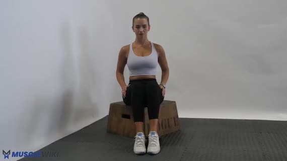 Seated Tibialis Raise
