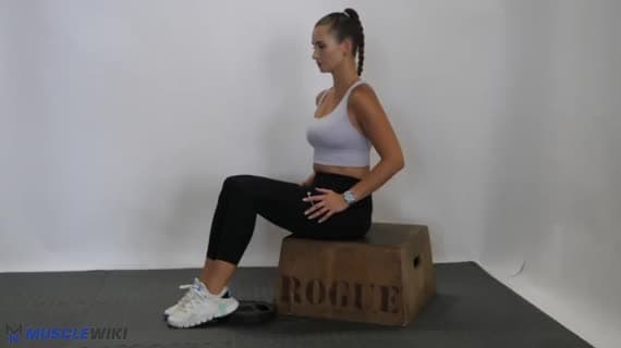 Seated Tibialis Raise