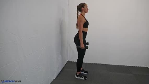 Dumbbell Hammer Curl