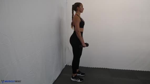 Dumbbell Lateral Raise