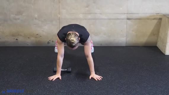 Dumbbell Plank Pullthrough