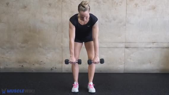 Dumbbell Rear Delt Row