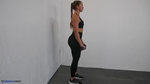 Dumbbell Reverse Curl