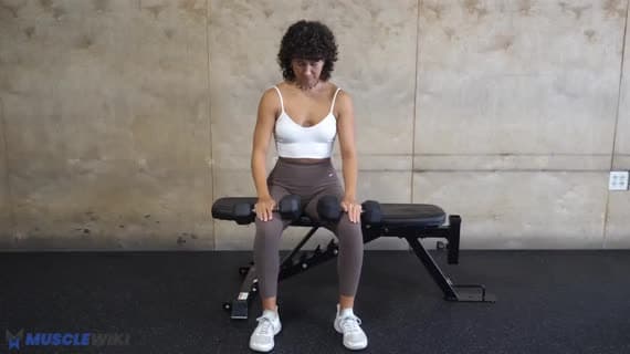 Dumbbell Seated Calf Raise