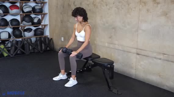 Dumbbell Seated Calf Raise
