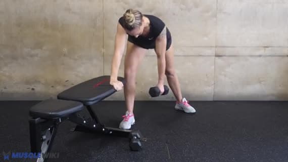 Dumbbell Single Arm Row