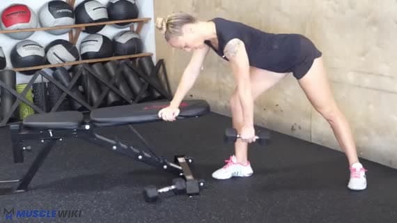 Dumbbell Single Arm Row
