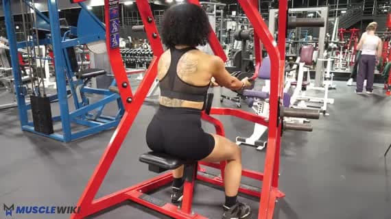 Machine Plate Loaded Low Row