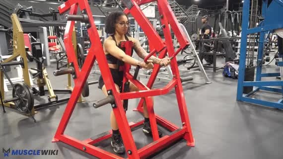 Machine Plate Loaded Low Row