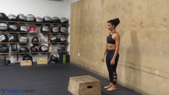 Bodyweight Step Up Knee Drive