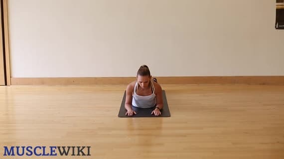 Abdominals Stretch Variation One