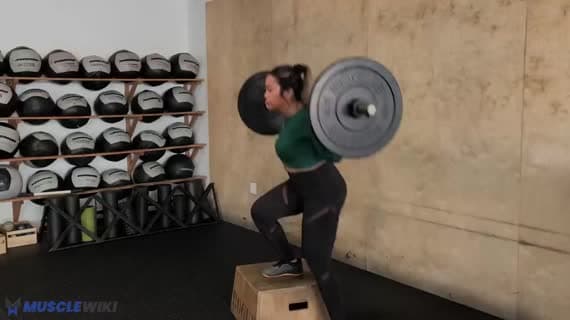 Barbell Side Step Up