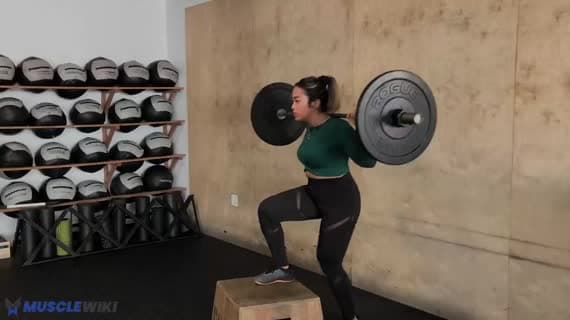 Barbell Step Up