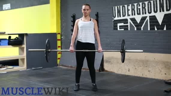 Barbell Stiff Leg Deadlifts