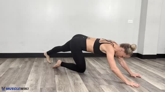 Long Lever Plank