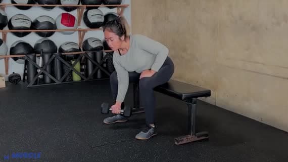 Dumbbell Concentration Curl